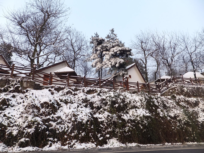 DSCF6799_����.jpg