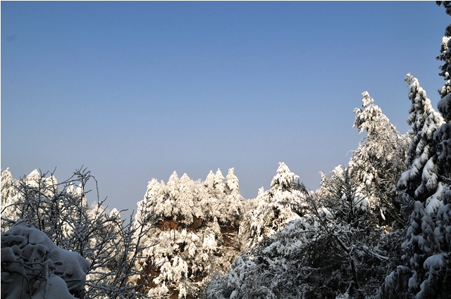 DSC_9367.JPG