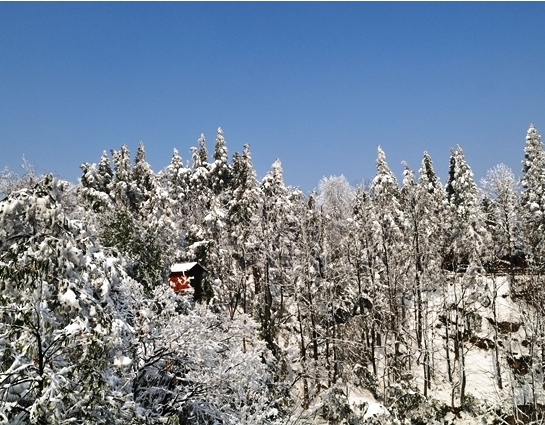 DSC_9459.JPG