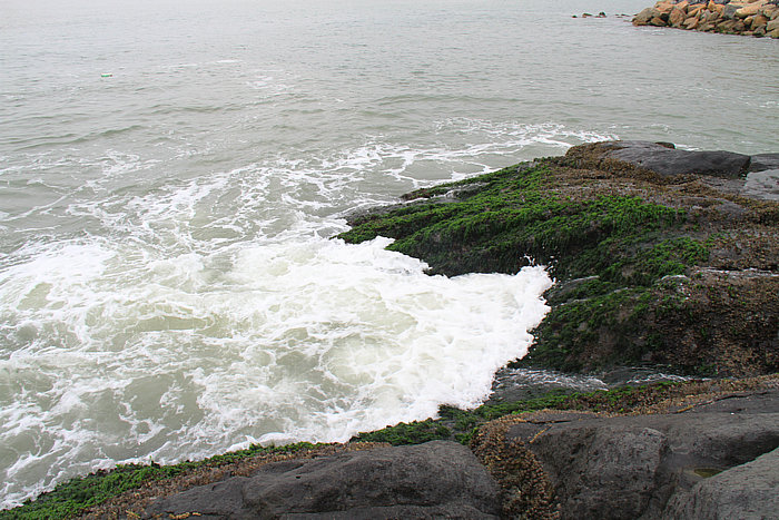 IMG_4966.jpg