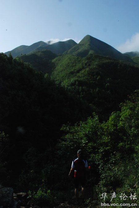 200805291928496731-1930171.jpg