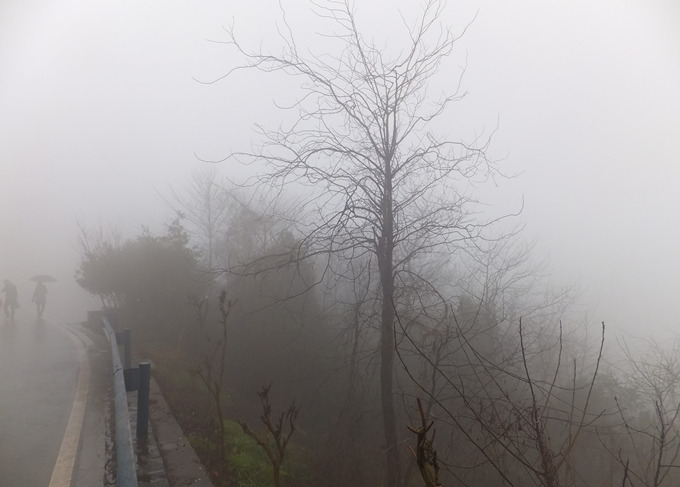 DSCF7826_����.jpg