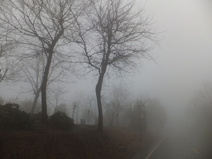 DSCF7838_����.jpg