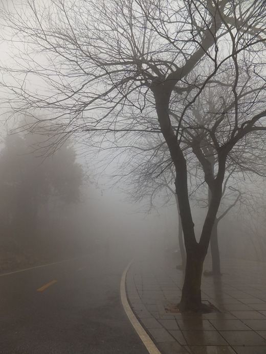 DSCF7843_����.jpg
