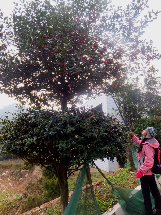 DSCF4638_����.jpg