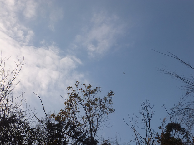 DSCF4680_����.jpg