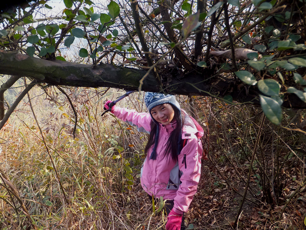 DSCF4682_����.jpg