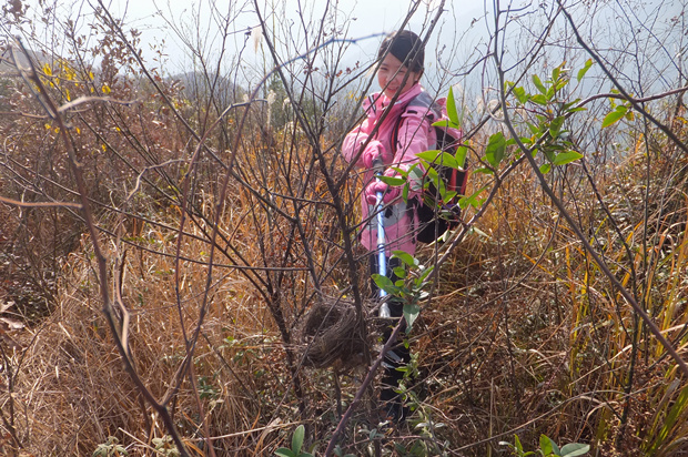 DSCF4700_����.jpg