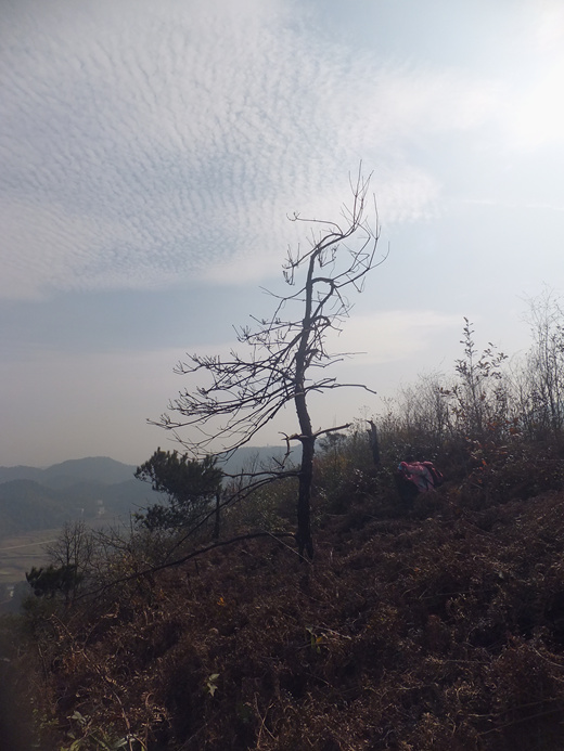 DSCF4707_����.jpg