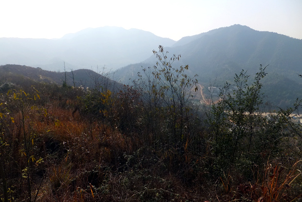DSCF4685_����.jpg