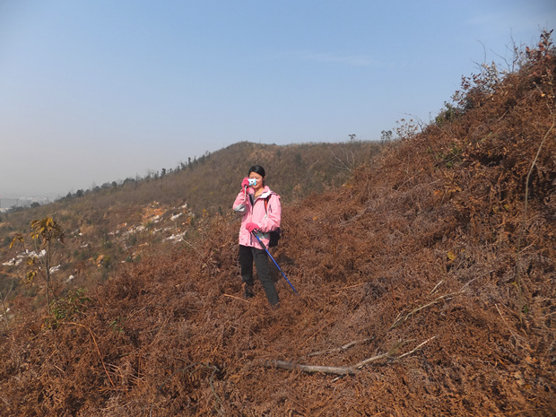 DSCF4744_����.jpg