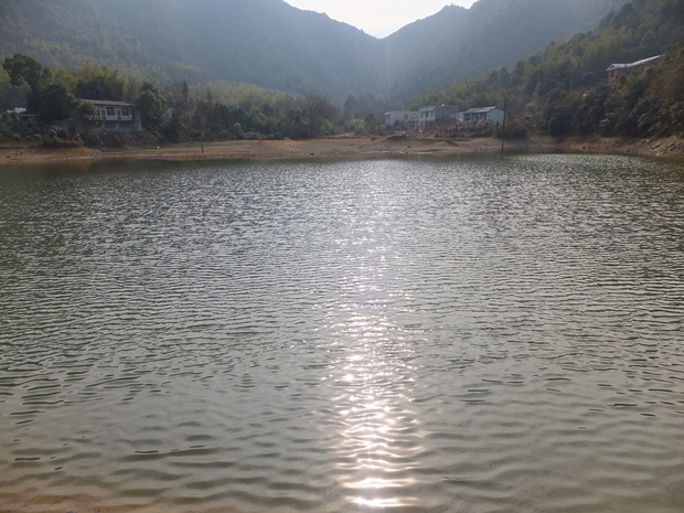 DSCF4790_����.jpg