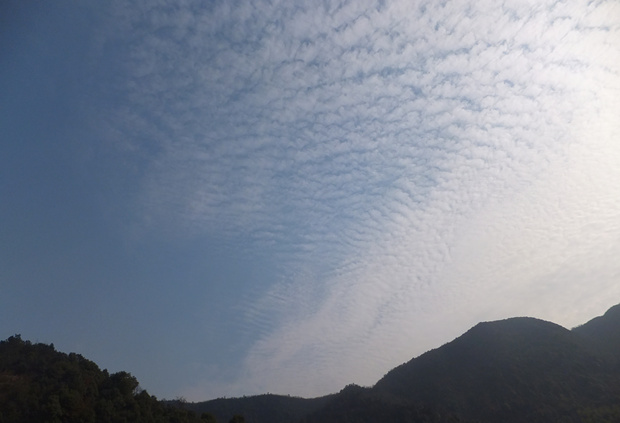 DSCF4793_����.jpg