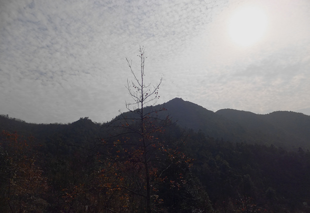DSCF4796_����.jpg