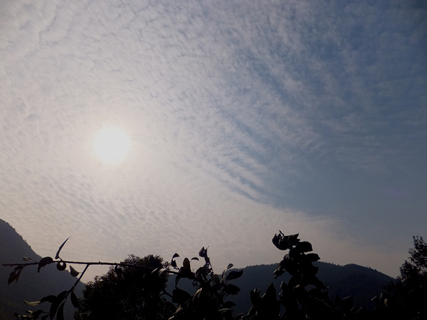 DSCF4801_����.jpg