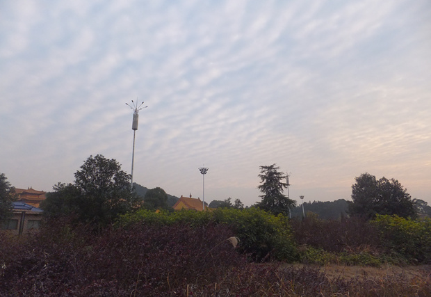 DSCF4855_����.jpg
