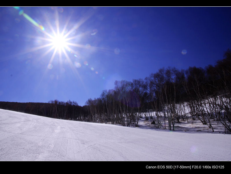 _MG_5107.jpg