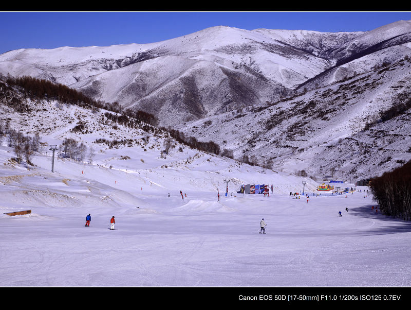 _MG_5115.jpg