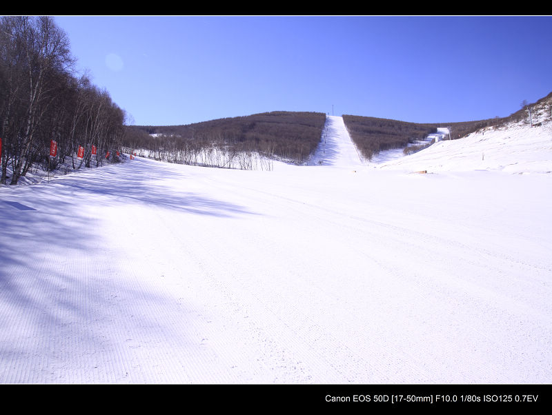 _MG_5133.jpg