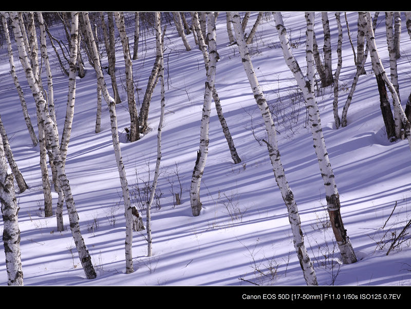 _MG_5126.jpg