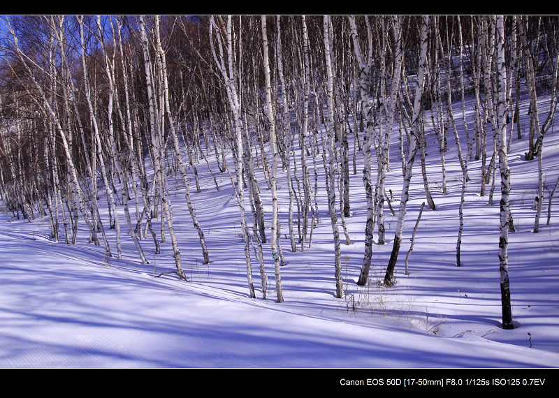 _MG_5143.jpg