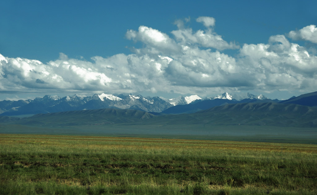 DSC_6368.jpg