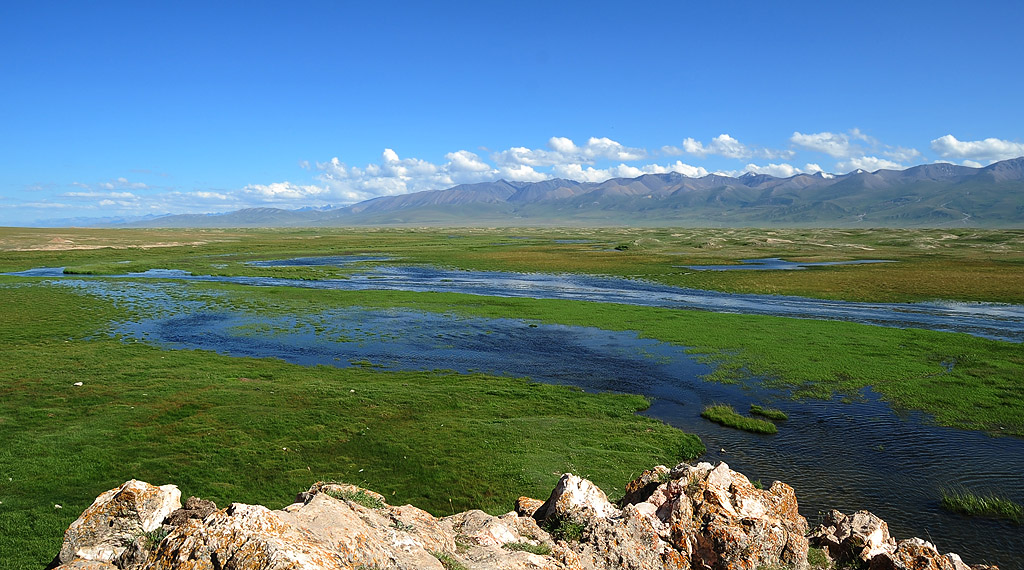 DSC_6420.jpg