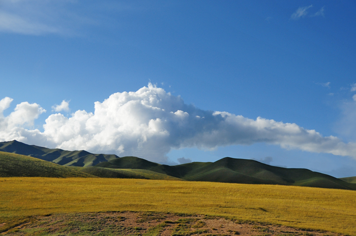 DSC_6529.jpg