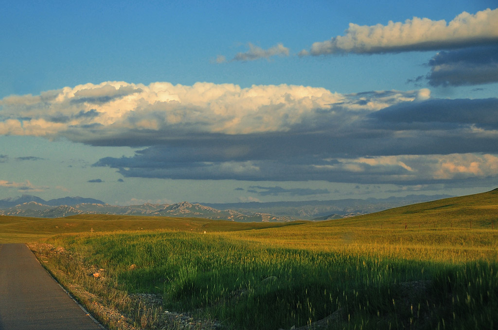 DSC_6590.jpg