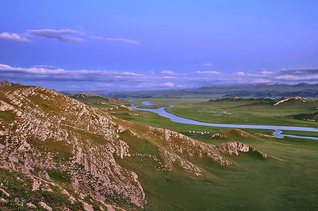 DSC_6651.jpg
