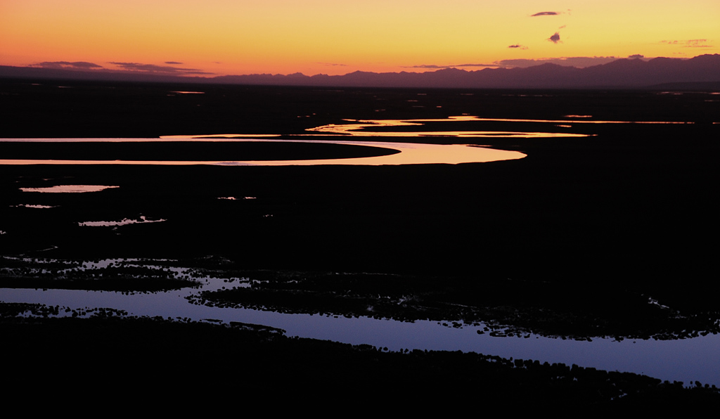 DSC_6683.jpg