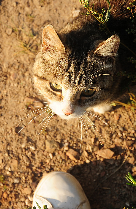 DSC_6747.jpg