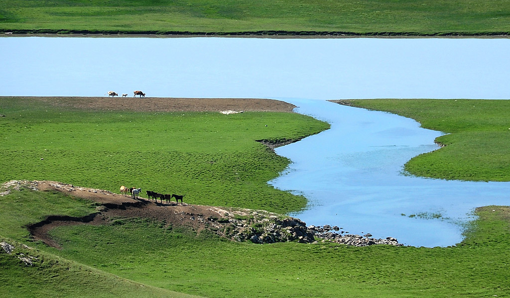 DSC_7002.jpg