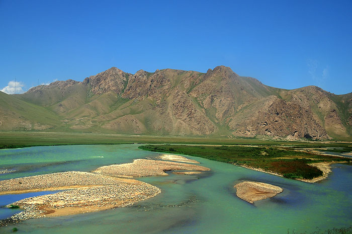 DSC_7205.jpg