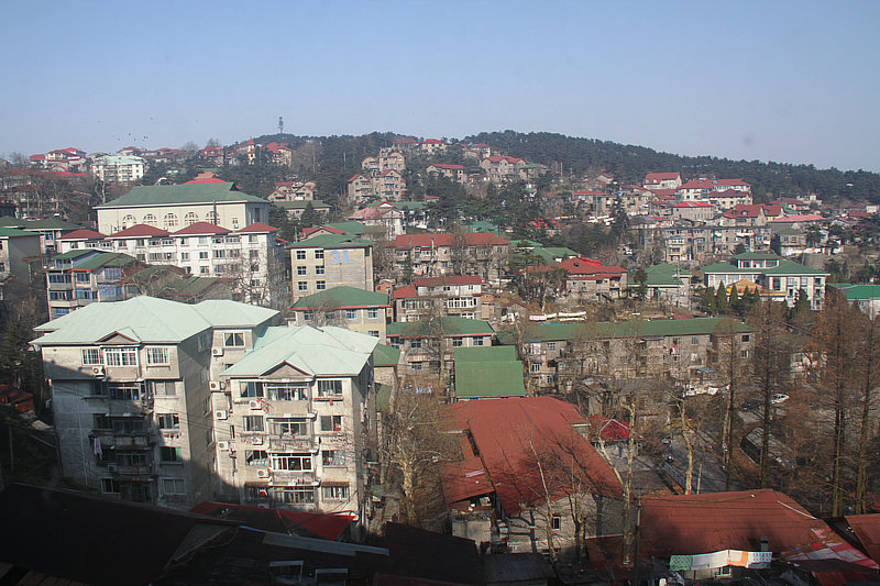 IMG_3879.jpg