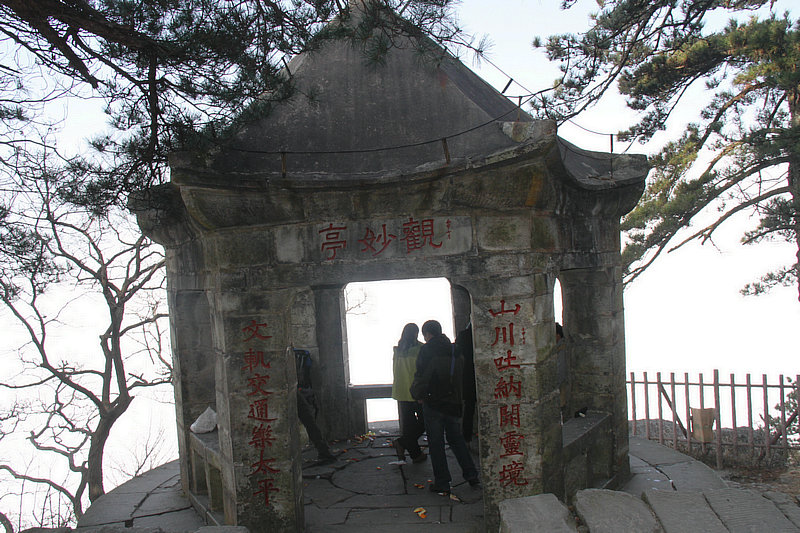 IMG_4040.jpg