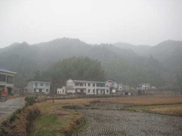 IMG_0442.JPG