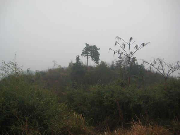 IMG_0449.JPG