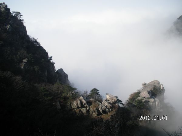 SANY4453.jpg
