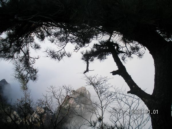 SANY4448.jpg