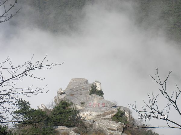 SANY4454.jpg