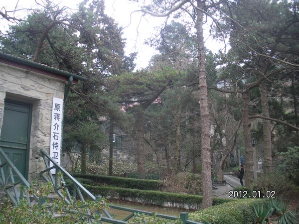 SANY4539.jpg
