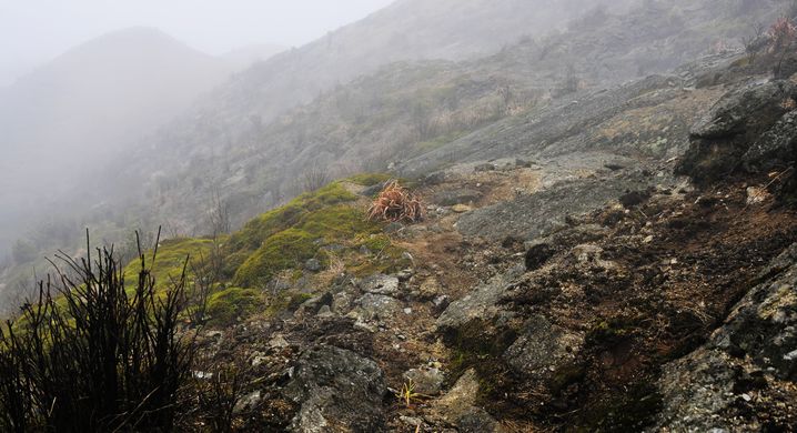_DSC8387.jpg