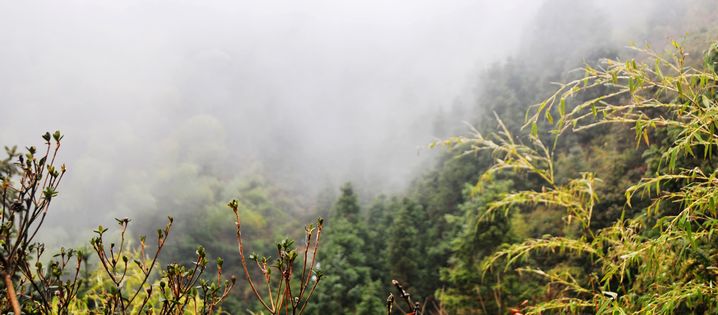 _DSC8580.jpg