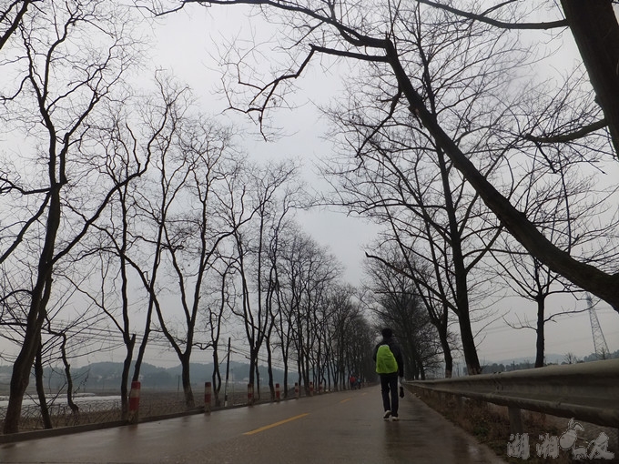DSCF8941_����.jpg