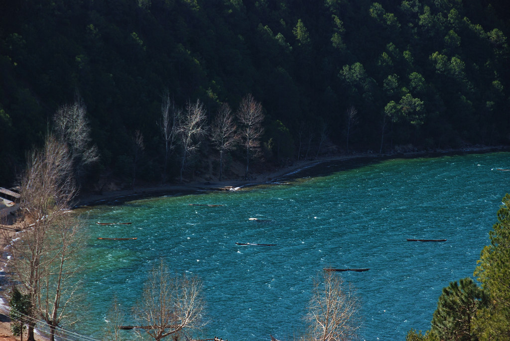 DSC_0540kkkkkkkk.jpg