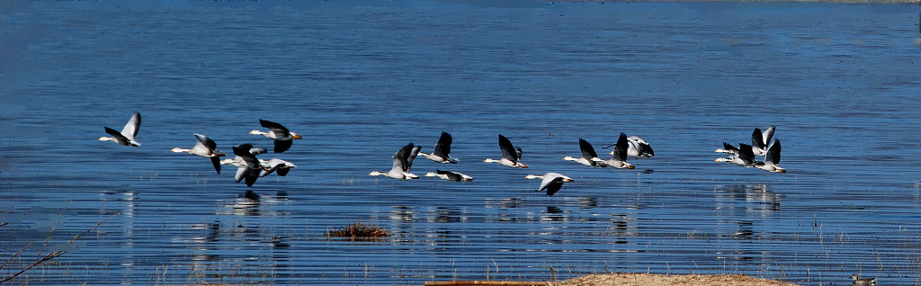 DSC_0879kkkkkkkkkkk.jpg