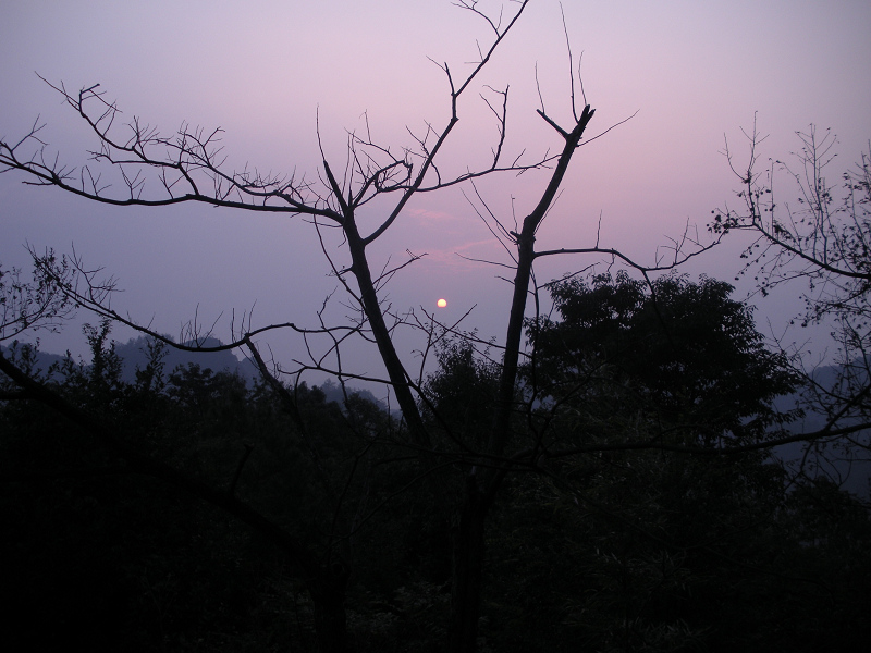 DSCN6621.JPG