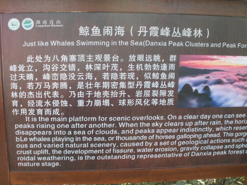 DSCN6737.JPG