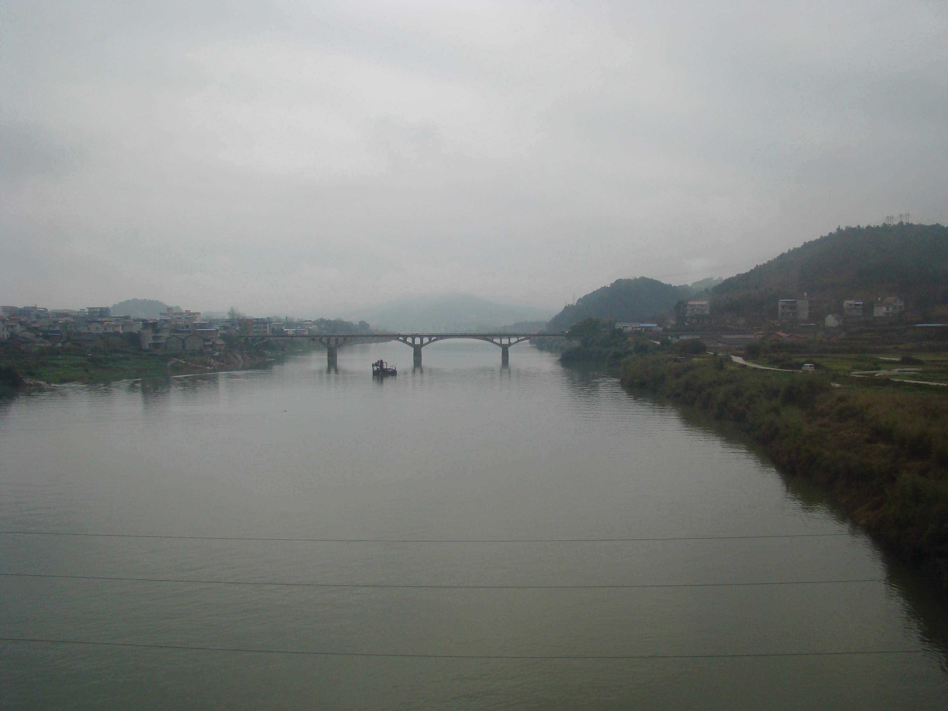 DSC07317.jpg